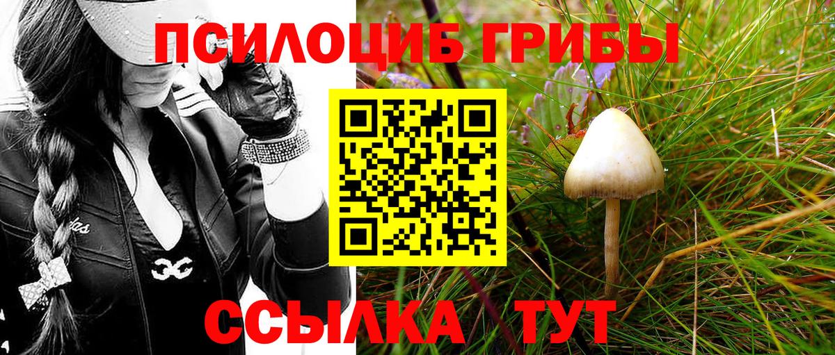 Галлюциногенные грибы ЛСД Ачхой-Мартан