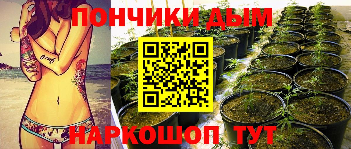 Бошки Шишки White Widow  Вход с VPN  Каннабис гибрид  Ачхой-Мартан  Марихуана семена 